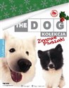 Dog Kolekcja 1 Samojed i Szpic niemiecki wydanie świąteczne / zimowe pieski - 
