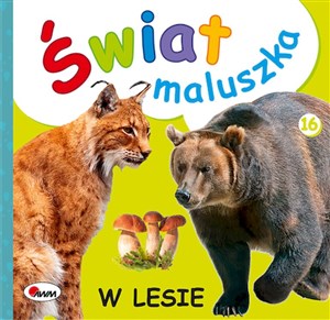 Świat maluszka w lesie