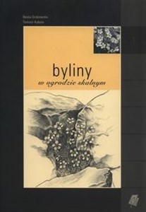 Byliny w ogrodzie skalnym