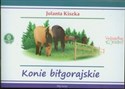 Konie Biłgorajskie