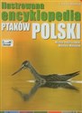 Ilustrowana encyklopedia ptaków Polski - Michał Radziszewski, Mateusz Matysiak