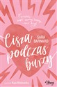 Cisza podczas burzy - Sara Barnard