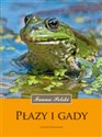 Płazy i gady