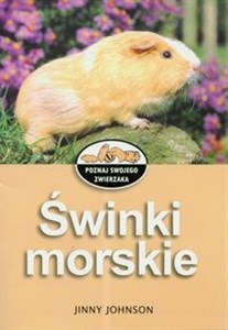 Świnki morskie - Księgarnia Niemcy (DE)