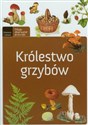 Królestwo grzybów 