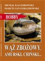 Wąż zbożowy, amurski, chiński… - Michał Kaczorowski, Marcin Jan Gorazdowski