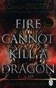 Fire Cannot Kill a Dragon