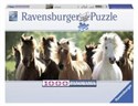 Puzzle 1000 Panoramiczne Dzikie konie 