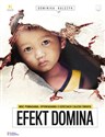 Efekt Domina Moc pomagania Opowiadania o dzieciach z całego świata - Dominika Kulczyk