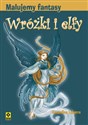 Malujemy fantasy Wróżki i elfy - Amandine Labarre