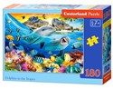 Puzzle 180 Delfiny w tropikach B-018468 - 