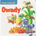 Owady Świat zwierząt