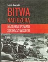 Bitwa nad Bzurą na terenie powiatu sochaczewskiego - Leszek Nawrocki