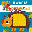 Uwaga jeżozwierz!