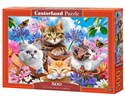 Puzzle 500 Kocięta z kwiatami B-53513 - 