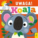 Uwaga! Koala - Rosie Greening