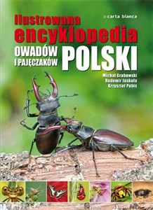 Ilustrowana encyklopedia owadów i pajęczaków - Księgarnia UK