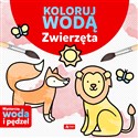 Koloruj wodą Zwierzęta