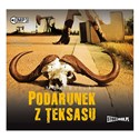 [Audiobook] Podarunek z Teksasu