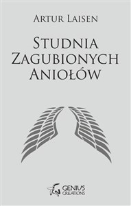 Studnia Zagubionych Aniołów - Księgarnia UK