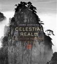 Celestial realm - Damian Harper, Seigo Matsuoka