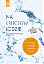 Na kruchym lodzie Opowieść o Arktyce i zmianach klimatu - Lech Stempniewicz