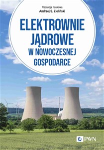 Elektrownie jądrowe w nowoczesnej gospodarce Technologie, ekonomika, bezpieczeństwo - Księgarnia UK