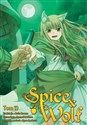 Spice and Wolf. Tom 10 