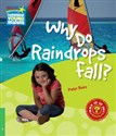 Why Do Raindrops Fall? 3 Factbook - Peter Rees