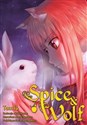 Spice and Wolf. Tom 14 