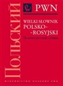 Wielki słownik polsko-rosyjski