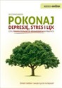 Pokonaj depresję stres i lęk czyli terapia poznawczo - behawioralna w praktyce - Stephen Briers