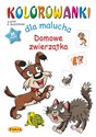 Domowe zwierzęta. Kolorowanki dla malucha 