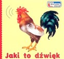 Jaki to dźwięk