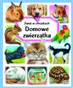 Świat w obrazkach Domowe zwierzątka