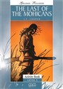 The Last of the Mohicans Activity Book 