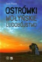 Ostrówki Wołyńskie ludobójstwo