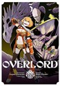 Overlord. Tom 3