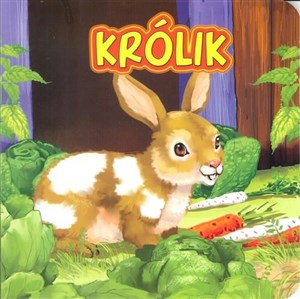 Królik - Księgarnia UK