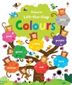 Lift-the-flap Colours Book  - 