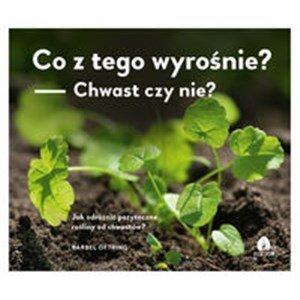 Co z tego wyrośnie? Chwast czy nie? Jak odróżnić pożyteczne rośliny od chwastów? - Księgarnia Niemcy (DE)