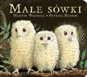 Małe sówki - Martin Waddell