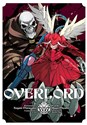 Overlord. Tom 4