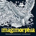 IMAGIMORPHIA. Ekstremalne kolorowanie i wyszukiwanie