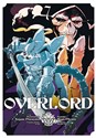 Overlord. Tom 7