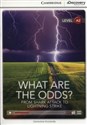 What Are the Odds? From Shark Attack to Lightng strike - Genevieve Kocienda