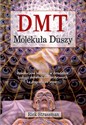 DMT Molekuła Duszy Rewolucyjne badania w dziedzinie biologii doświadczeń mistycznych i z pogranicza śmierci - Rick Strassman