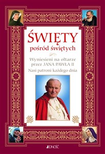 Święty pośród świętych Wyniesieni na ołtarze przez Jana Pawła II Nasi patroni każdego dnia - Księgarnia Niemcy (DE)