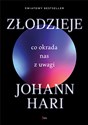 Złodzieje Co okrada nas z uwagi - Johann Hari