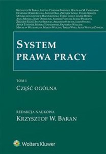 System prawa pracy Tom 1 Część ogólna - Księgarnia UK